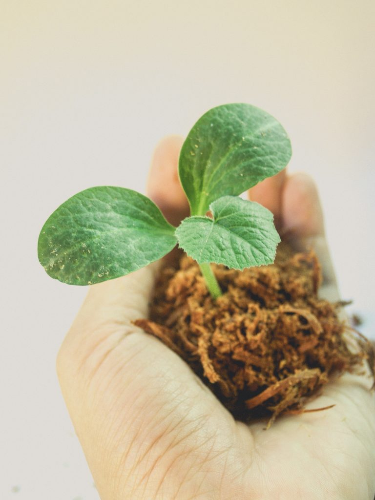 Nurture your customers
