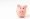 Financial health for growing business