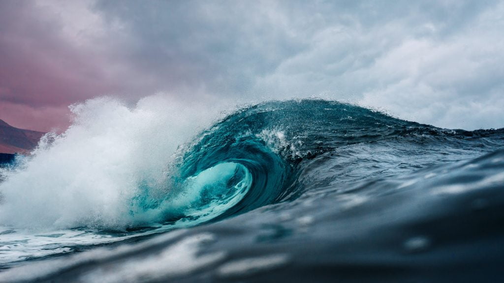 Curl of a wave representing high and low business values